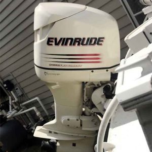 Evinrude Engine Side On View